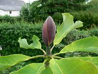 24-05-2007_09-09-29_19
