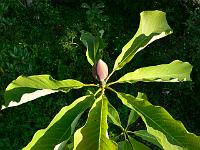 25-05-2007_08-18-04_75