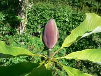 25-05-2007_10-33-55_07