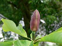 30-05-2007_10-59-05_29