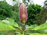 30-05-2007_10-59-42_39