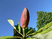 30-05-2007_18-03-22_107