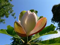 31-05-2007_09-05-14_47
