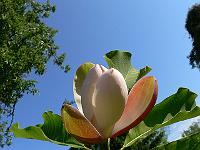 31-05-2007_09-05-18_48