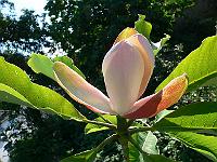 31-05-2007_09-05-32_52