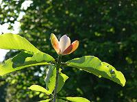 31-05-2007_09-05-59_59