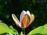 31-05-2007_10-00-32_12