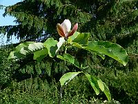 31-05-2007_10-00-59_19