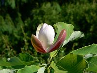 31-05-2007_10-01-36_30