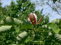 31-05-2007_10-02-39_47