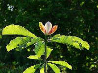 31-05-2007_10-04-00_68