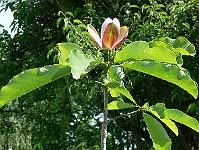 31-05-2007_11-10-30_01