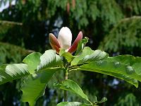 31-05-2007_11-10-59_09