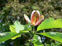 31-05-2007_12-44-20_09