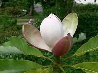 31-05-2007_12-46-02_37