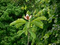 31-05-2007_12-49-30_92