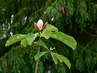 31-05-2007_12-50-27_107