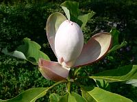 31-05-2007_18-34-53_09