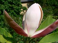 31-05-2007_18-35-20_17