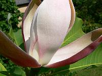 31-05-2007_18-35-28_19
