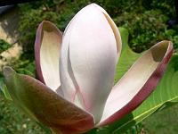 31-05-2007_18-35-48_24