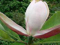 31-05-2007_18-46-29_183