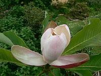 31-05-2007_18-46-54_189
