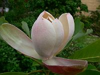 31-05-2007_18-47-13_194