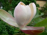31-05-2007_18-47-25_197