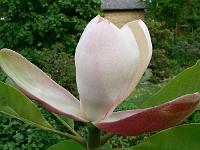 31-05-2007_18-47-44_202