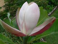 31-05-2007_18-48-04_207