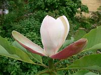 31-05-2007_18-48-12_209