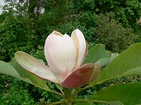 31-05-2007_18-48-15_210