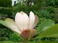 31-05-2007_18-48-19_211