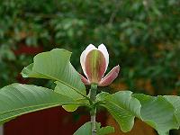 31-05-2007_18-48-35_215