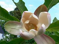 31-05-2007_18-49-39_231