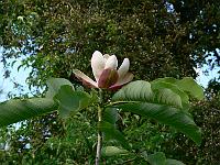31-05-2007_18-49-59_236
