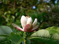 31-05-2007_18-50-39_246