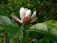 31-05-2007_18-51-03_252