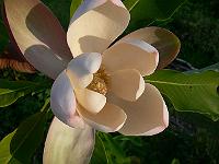31-05-2007_18-53-36_288