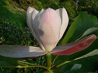 31-05-2007_18-53-55_292