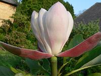 31-05-2007_18-54-00_293