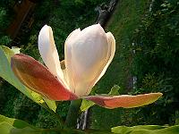 31-05-2007_18-54-21_297