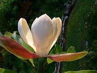 31-05-2007_18-54-26_298