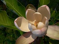 31-05-2007_18-54-59_305