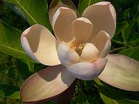31-05-2007_18-55-05_306