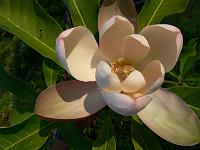 31-05-2007_18-55-29_310