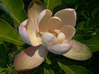 31-05-2007_18-55-44_312