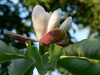 31-05-2007_20-52-53_10