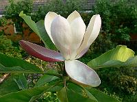 31-05-2007_20-53-04_13